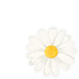 小雏菊贴纸